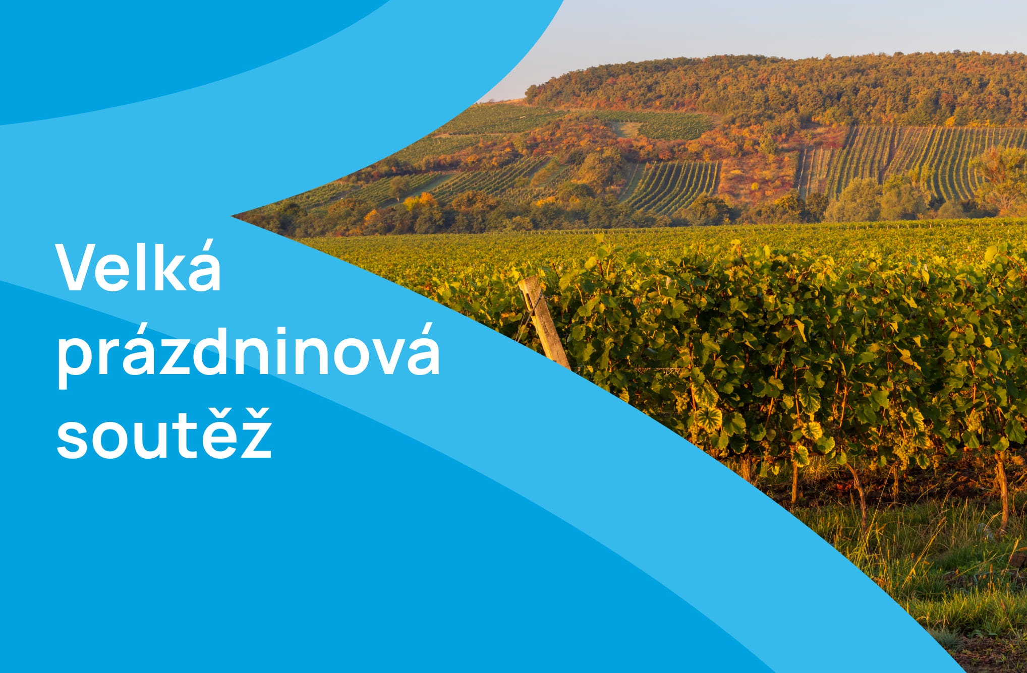 Letní prázdninová soutěž je v plném proudu!